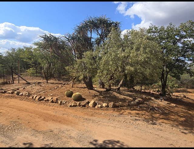 93HA FARM FOR SALE IN MOPANE